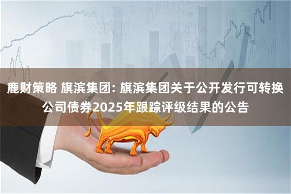 鹿财策略 旗滨集团: 旗滨集团关于公开发行可转换公司债券2025年跟踪评级结果的公告