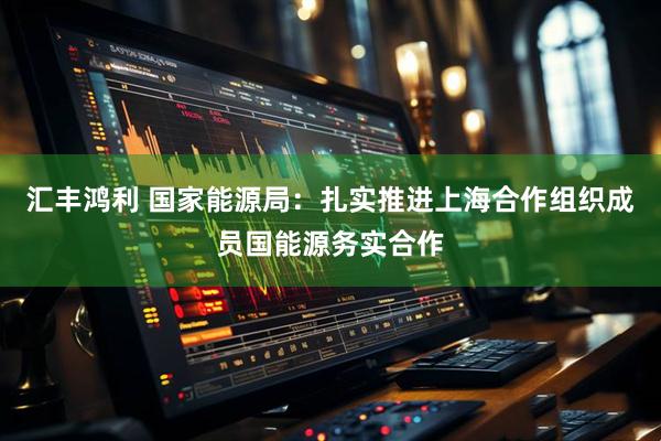 汇丰鸿利 国家能源局：扎实推进上海合作组织成员国能源务实合作