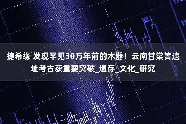 捷希缘 发现罕见30万年前的木器！云南甘棠箐遗址考古获重要突破_遗存_文化_研究