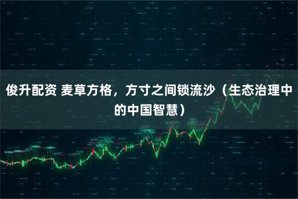 俊升配资 麦草方格,方寸之间锁流沙(生态治理中的中国智慧)