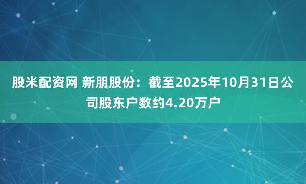 股米配资网 新朋股份：截至2025年10月31日公司股东户数约4.20万户