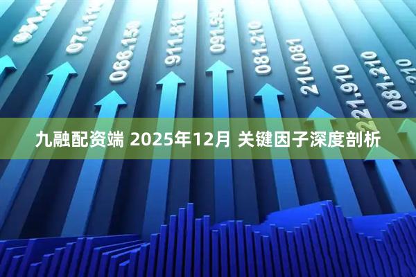 九融配资端 2025年12月 关键因子深度剖析
